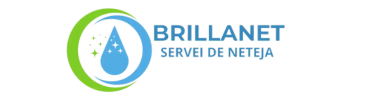 brillanetneteja.com